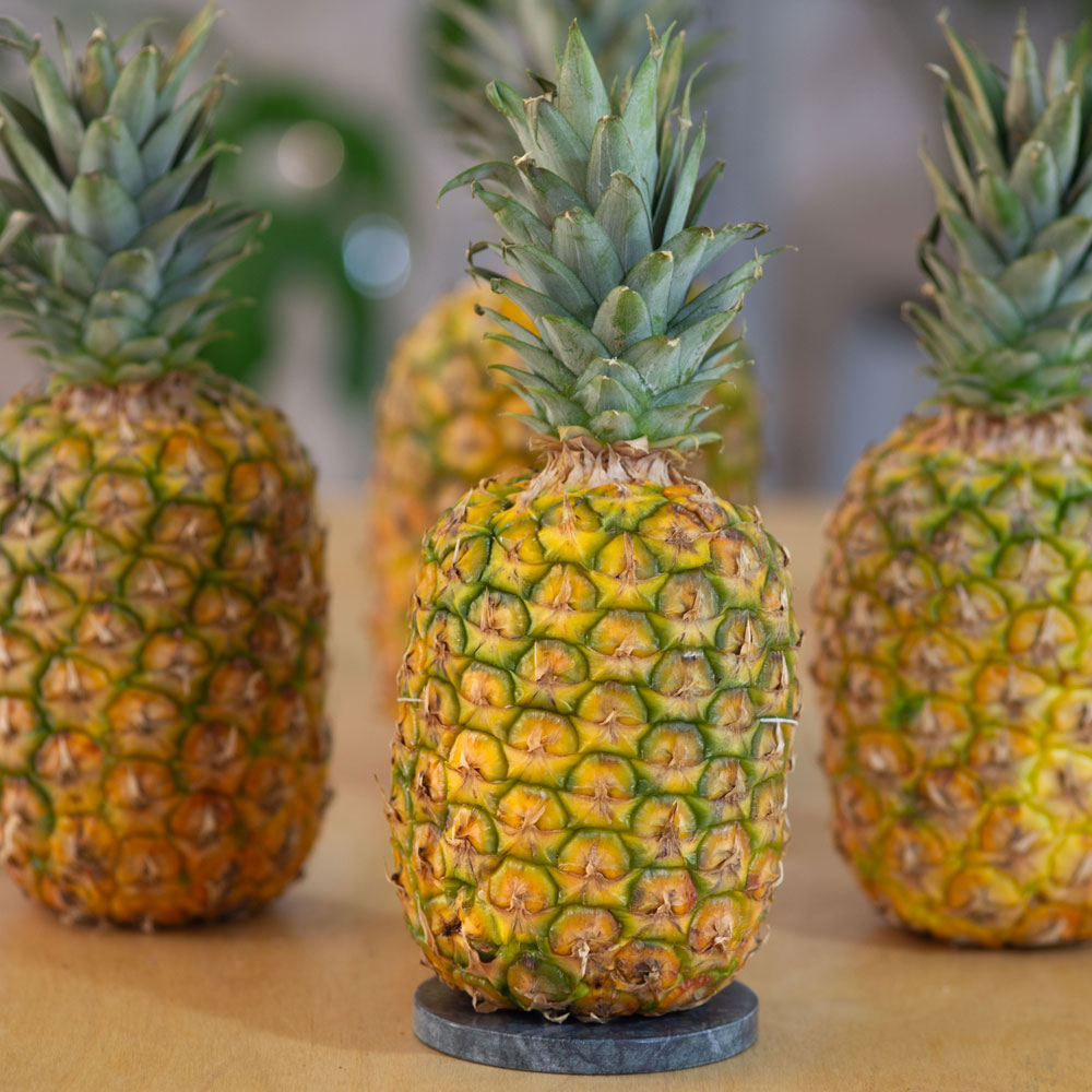 고당도 골드 파인애플 중과